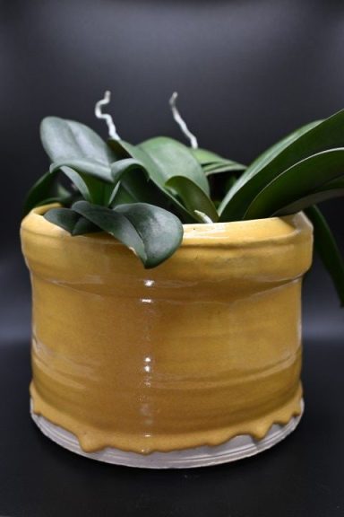 R0108 - Yellow Planter R0108 - Yellow Planter